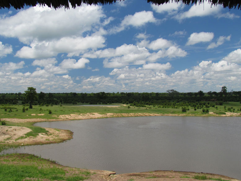 PN Hwange